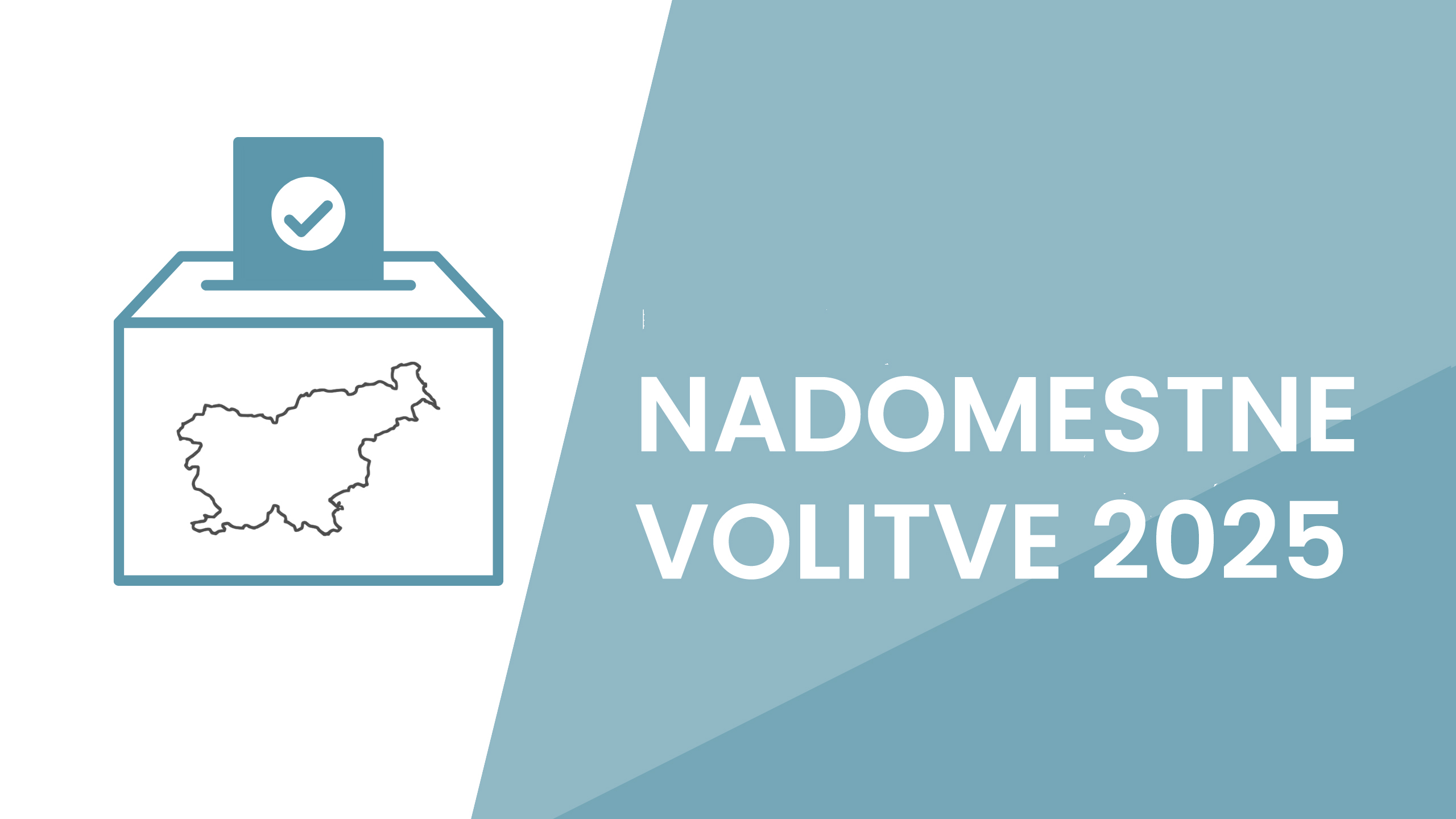 Nadomestne volitve 2025